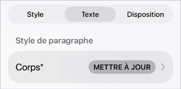 Style de paragraphe avec un astérisque affiché à côté et un bouton Mettre à jour à droite.