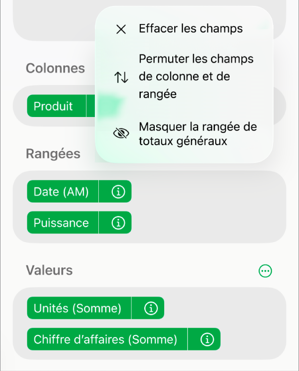 Menu Options de champ avec commandes permettant de masquer les totaux généraux, de permuter les champs de colonne et de rangée et d’effacer des champs.