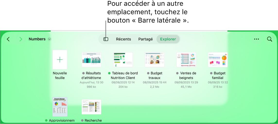 La présentation de navigation du gestionnaire de documents avec un lien d’emplacement dans le coin supérieur gauche et un champ de recherche en dessous de celui-ci. Dans le coin supérieur droit se trouvent le bouton « Ajouter une feuille de calcul », le bouton « Nouveau dossier », un menu local pour utiliser la présentation par liste ou par icône et pour filtrer par nom, par date, par taille, par genre et par tag, ainsi que le bouton Sélectionner. En dessous de ces éléments se trouvent les vignettes des feuilles de calcul existantes.