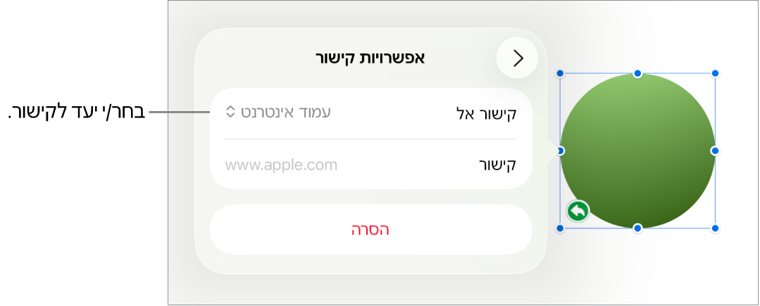 כלי הבקרה של ״אפשרויות קישור״ כאשר האפשרות ״עמוד אינטרנט״ נבחרת ובחלק התחתון מוצג הכפתור ״הסר״.