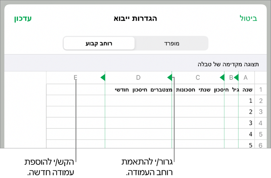 הגדרות הייבוא עבור קובץ מלל ברוחב קבוע.