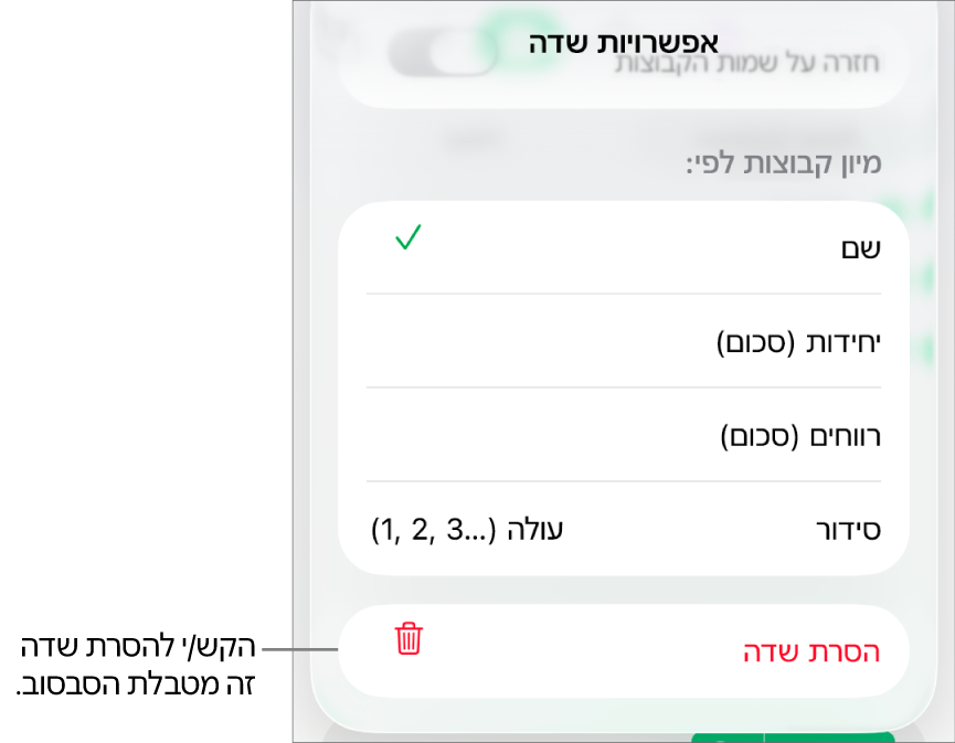 התפריט ״אפשרויות שדה״, שבו מוצגים פקדים לקיבוץ ומיון של נתונים, וכן האפשרות להסיר שדה.