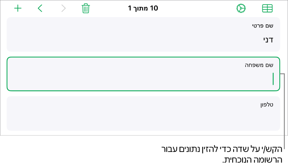 רשומה בטופס המציגה שדה פעיל עם נקודת כניסה.
