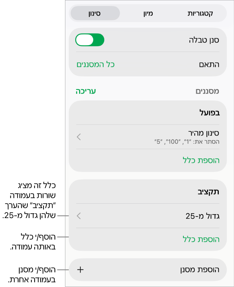 כלי בקרה להוספת כללי סינון חדשים או לעריכת כללים קיימים.