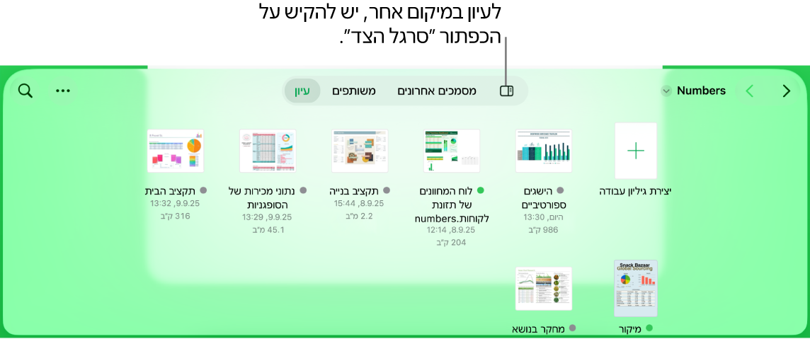 תצוגת העיון של מנהל המסמכים עם קישור למיקום בפינה הימנית העליונה ומתחתיו שדה חיפוש. בפינה השמאלית העליונה רואים את הכפתור ״הוסף גיליון עבודה״; את הכפתור ״תיקיה חדשה״; תפריט קופצני לבחירת תצוגת רשימה או סמלים ולסינון לפי שם, תאריך, גודל, סוג ותג; ואת הכפתור ״בחר״. מתחת לפקדים אלה ישנן תמונות ממוזערות של גיליונות עבודה קיימים.