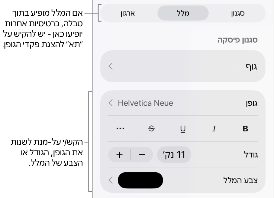 כלי בקרה של מלל בתפריט ״עיצוב״ להגדרת סגנונות, גופן, גודל וצבע עבור פיסקאות ותווים.