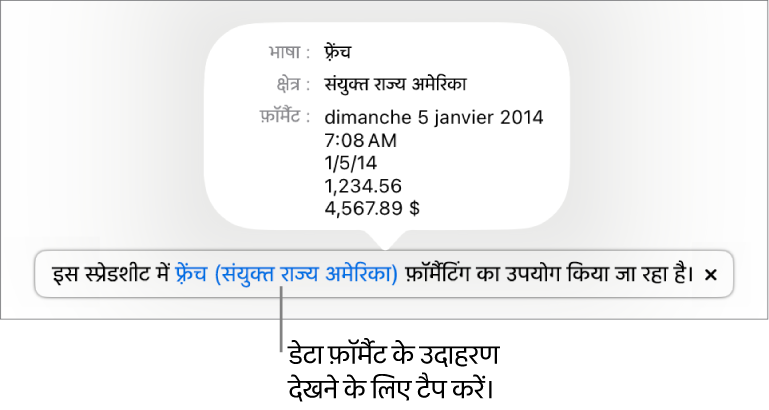 अलग भाषा और क्षेत्र सेटिंग संबंधी सूचना, जो उस भाषा और क्षेत्र के फ़ॉर्मैटिंग से जुड़े उदाहरण दर्शाती है।