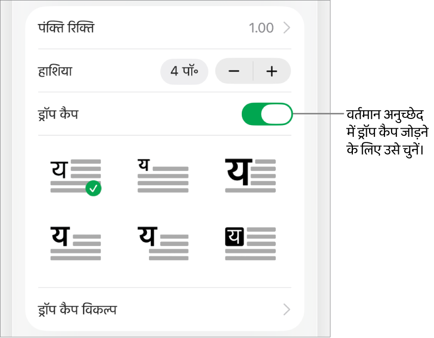 ड्रॉप कैप नियंत्रण टेक्स्ट मेनू के नीचे होते हैं।