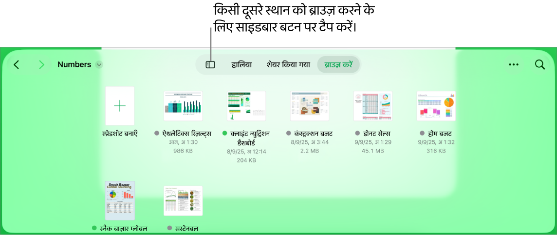 सबसे ऊपर बायें कोने में स्थान लिंक के साथ दस्तावेज़ प्रबंधक.का ब्राउज़ दृश्य और इसके नीचे खोज फ़ील्ड। शीर्ष-दाएँ कोने में “स्प्रेडशीट जोड़ें” बटन, “नया फ़ोल्डर” बटन, सूची या आइकॉन दृश्य का उपयोग करने, और नाम, तिथि, आकार, प्रकार तथा टैग के आधार पर फ़िल्टर करने के लिए पॉप-अप मेनू और “चुनें” बटन हैं। इनके नीचे मौजूदा स्प्रेडशीट के थंबनेल हैं।