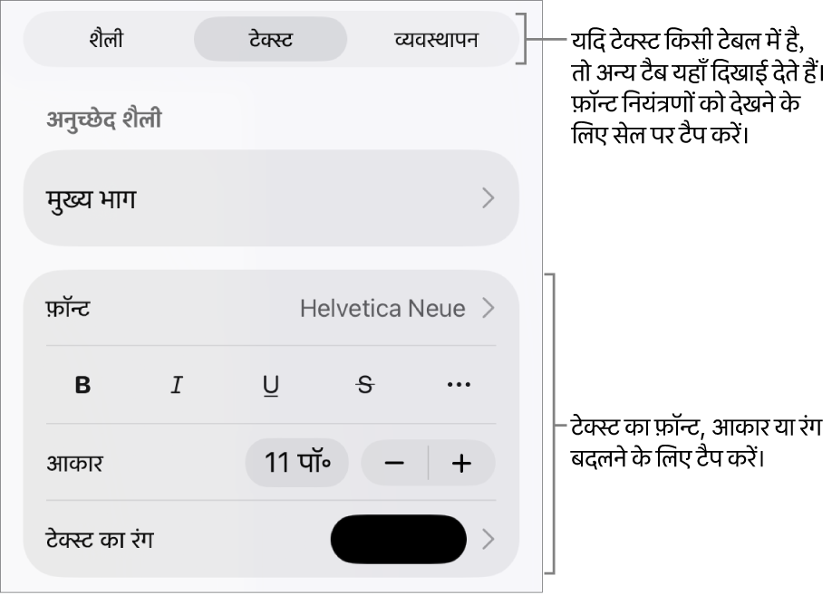 “फ़ॉर्मैट” मेनू में अनुच्छेद सेटिंग और वर्ण शैली, फ़ॉन्ट, आकार और रंग के लिए टेक्स्ट नियंत्रण।