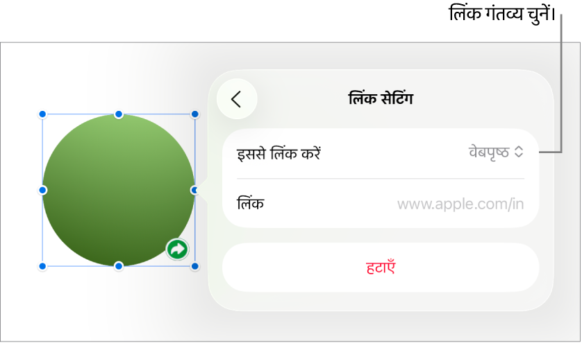 चुने गए वेबपृष्ठ के साथ लिंक सेटिंग्ज़ नियंत्रण और सबसे नीचे “लिंक हटाएँ” बटन।