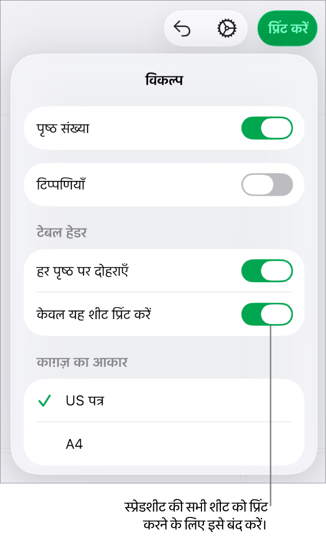 पृष्ठ संख्याएँ दिखाने, हर पृष्ठ पर हेडर दोहराने, काग़ज़ का आकार बदलने और संपूर्ण स्प्रेडशीट या केवल वर्तमान शीट प्रिंट करने का विकल्प चुनने के नियंत्रण के साथ प्रिंट प्रीव्यू पेन।