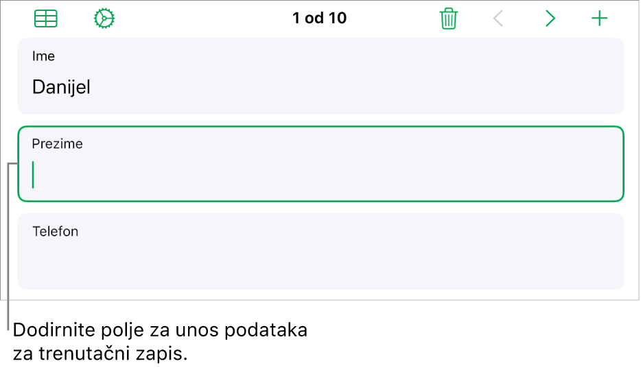 Zapis u obrascu s prikazom aktivnog polja s točkom umetanja.