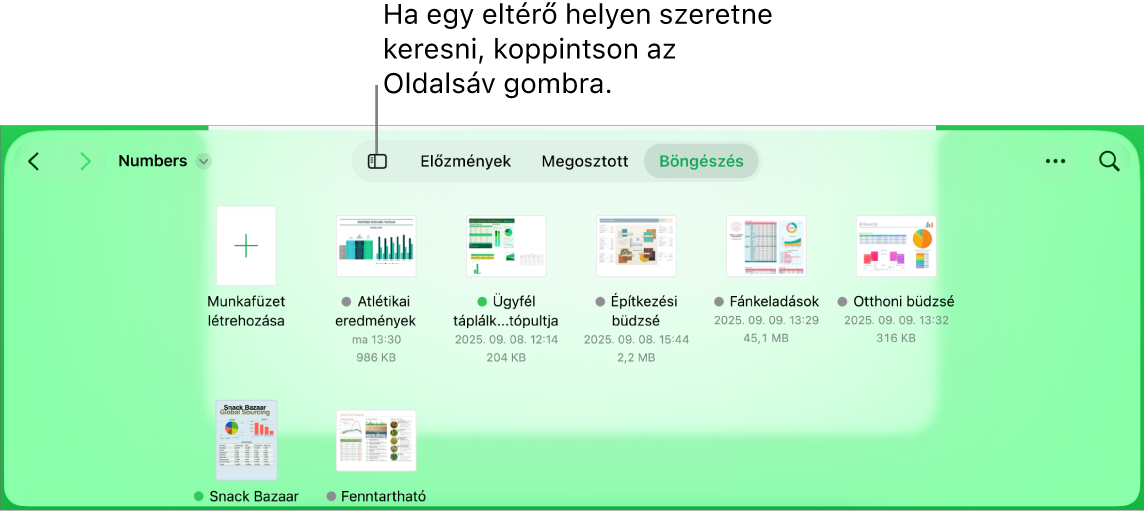A dokumentumkezelő böngészés nézete a bal felső sarokban elhelyezkedő Oldalsáv gombbal. A jobb felső részen a Hozzáadás gomb, az Új mappa gomb, az Ikonok gomb (név, dátum, méret és címke alapján történő szűréshez), a Kijelölés gomb és a Keresés gomb látható.