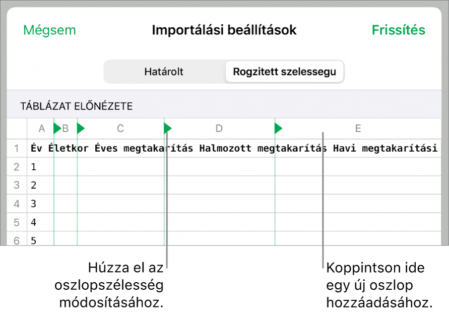 A rögzített szélességű szövegfájlok importálási beállításai.