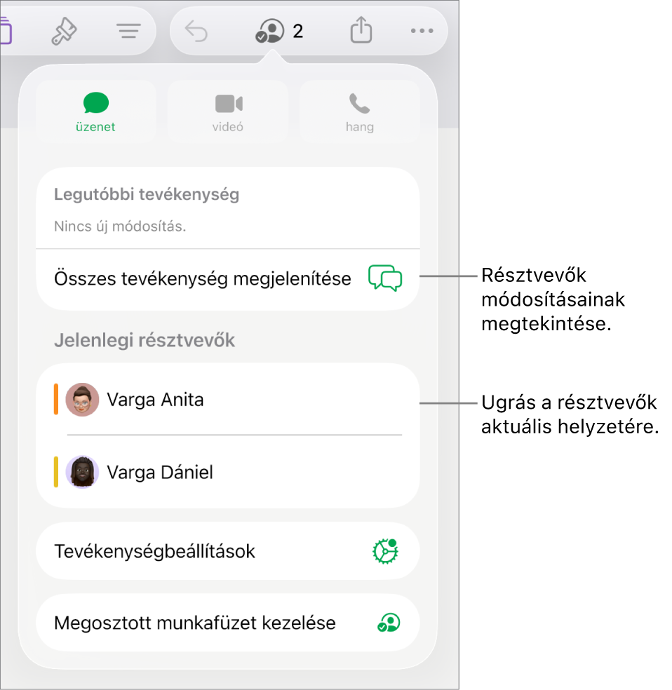 Az együttműködési menü a jelenlegi résztvevőkkel.