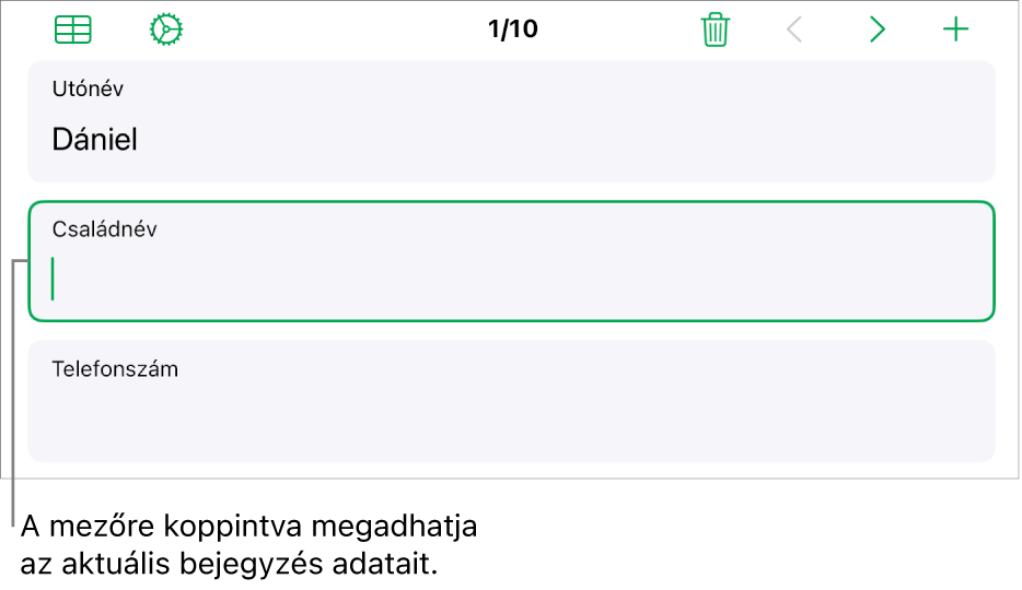 Egy űrlap bejegyzése az aktív mezővel és a beszúrási ponttal.