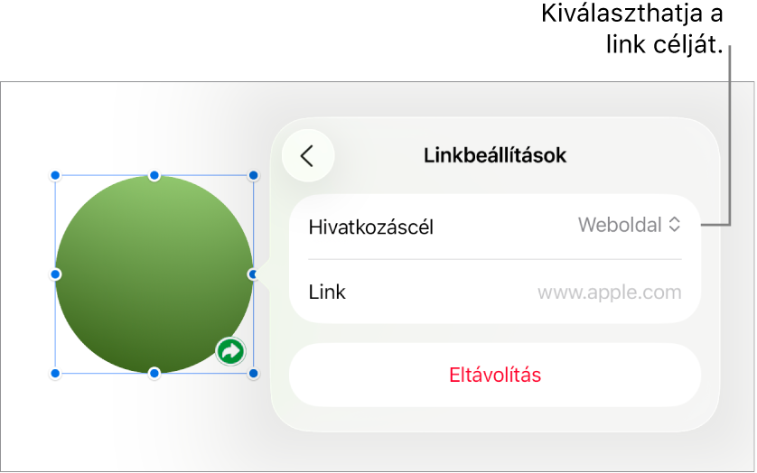 A Linkbeállítások vezérlői a kijelölt Weboldal elemmel, illetve az alul megjelenő Eltávolítás gombbal.
