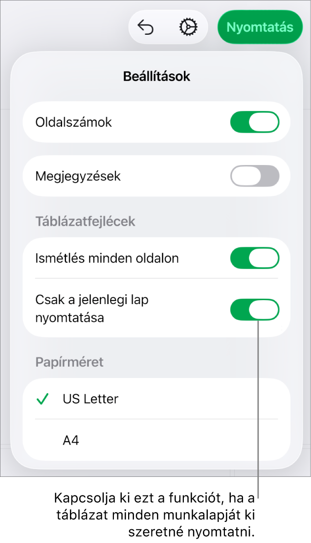 A nyomtatási előnézet panelje, amelyen beállíthatja az oldalszámok megjelenítését, a fejléc ismétlését az egyes oldalakon, módosíthatja a papírméretet, és kiválaszthatja, hogy az egész munkafüzetet szeretné-e kinyomtatni, vagy csak az aktuális munkalapot.