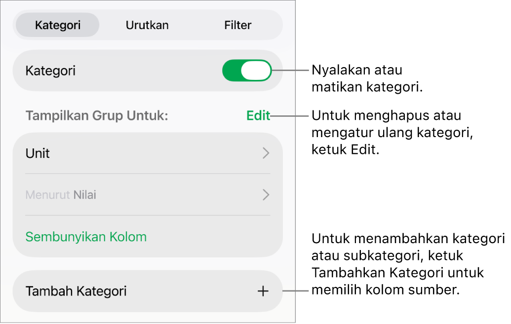 Menu Kategori untuk iPad dengan pilihan untuk mematikan kategori, menghapus kategori, mengelompokkan ulang data, menyembunyikan kolom sumber, dan menambah kategori.