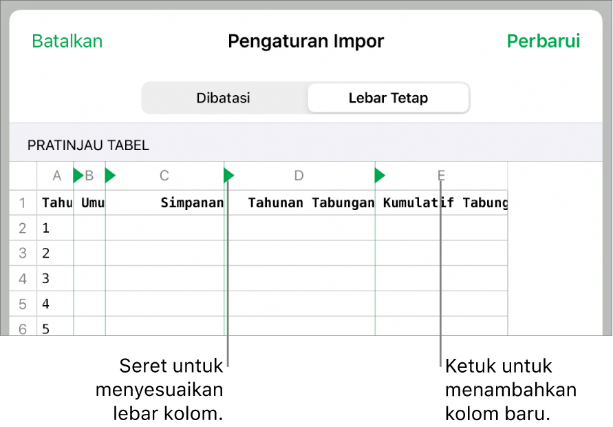 Pengaturan impor untuk file teks lebar tetap.