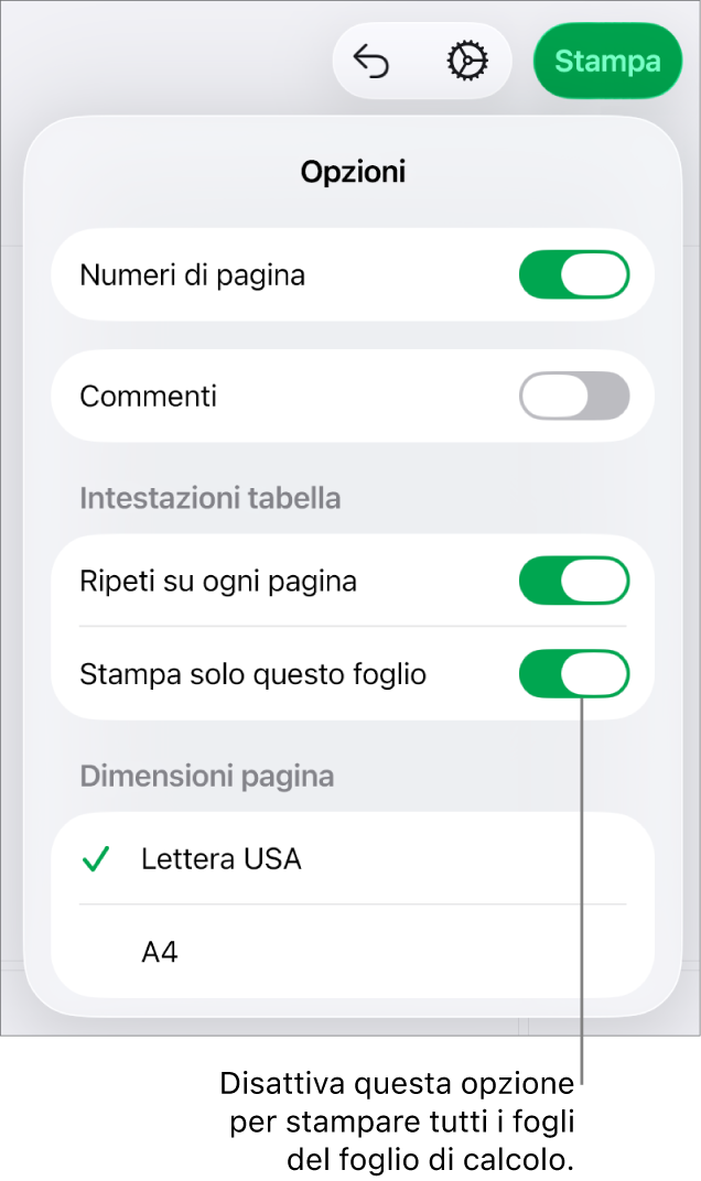 Pannello dell’anteprima di stampa con controlli per visualizzare i numeri di pagina, ripetere le intestazioni su ogni pagina, modificare le dimensioni della pagina e scegliere se stampare l’intero foglio di calcolo o solo il foglio attuale.