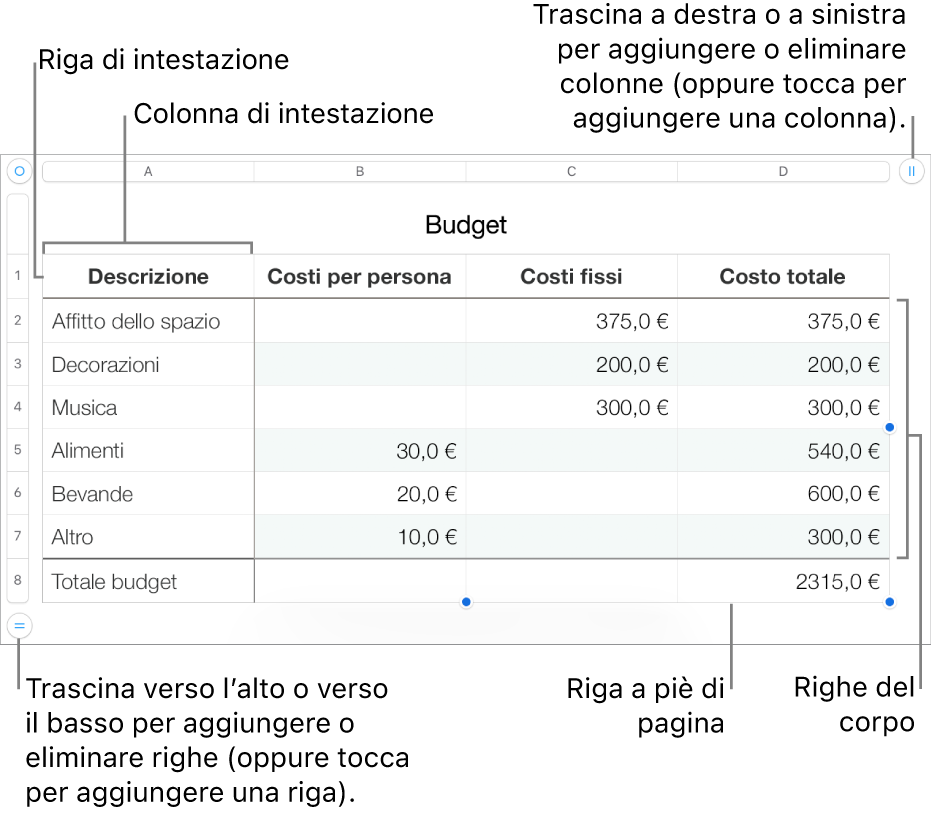 Tabella con righe e colonne di intestazione, corpo e piè di pagina, nonché le maniglie per aggiungere o eliminare righe o colonne.
