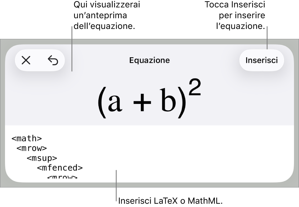 La finestra di dialogo Equazione che mostra l’equazione scritta tramite comandi MathML e un’anteprima della formula di cui sopra.