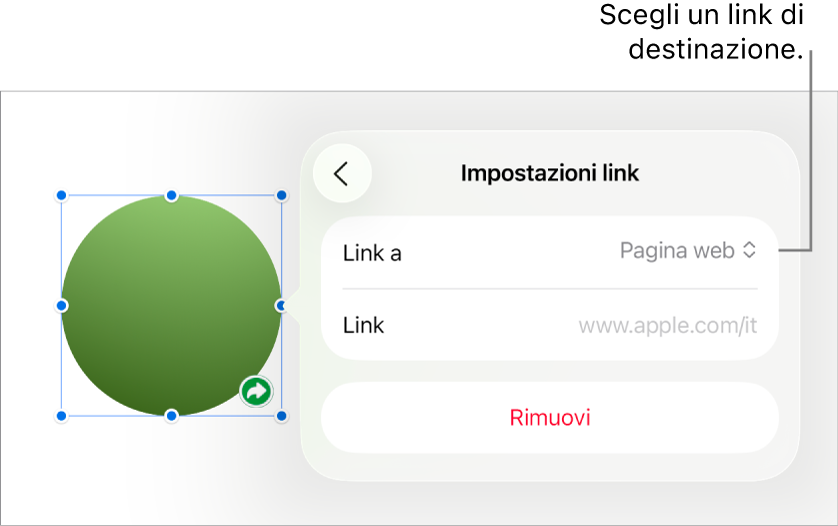 I controlli delle impostazioni dei link con la pagina web selezionata e con il pulsante per rimuovere il link mostrato in basso.