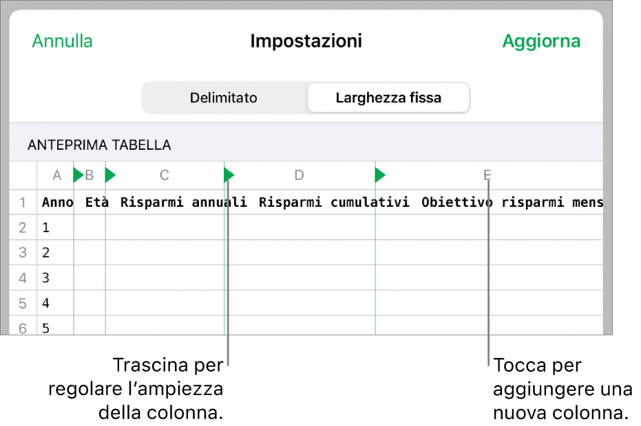 Impostazioni di importazione per un file di testo a larghezza fissa.