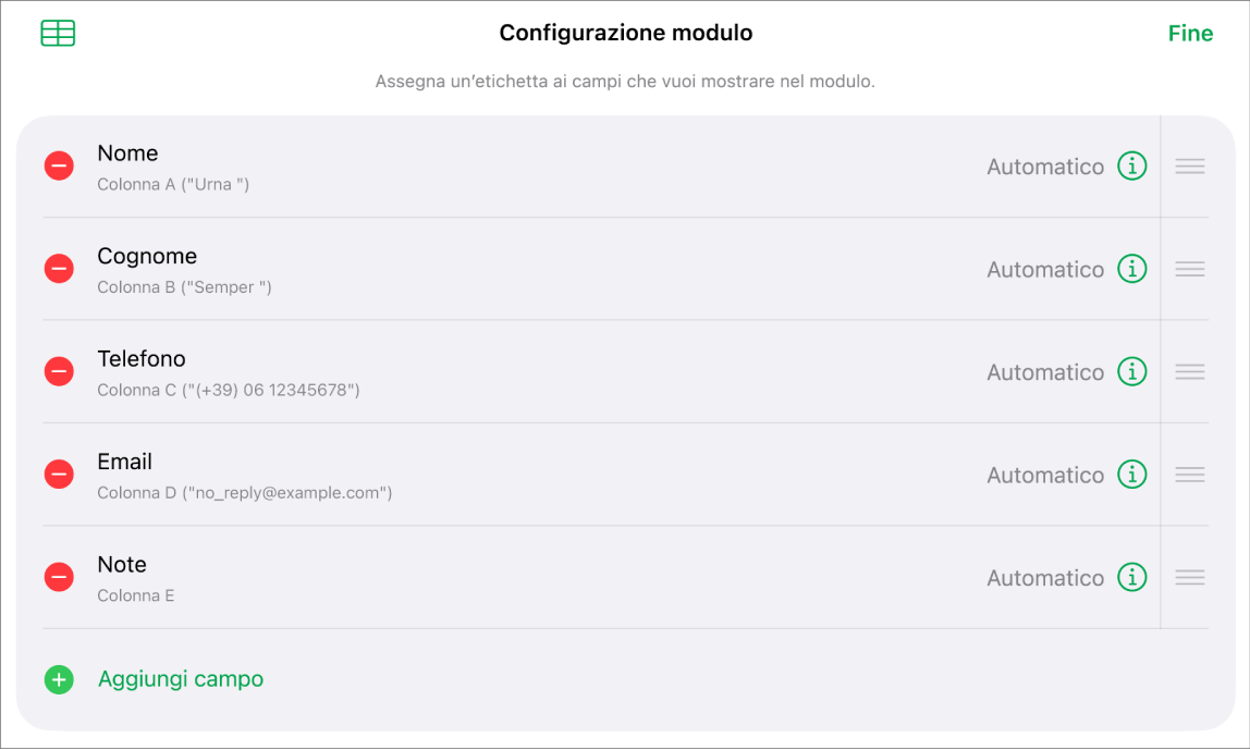 I controlli di configurazione del modulo con le opzioni per aggiungere, modificare, ordinare ed eliminare campi, così come per modificarne il formato (ad esempio, da Testo a Percentuale).