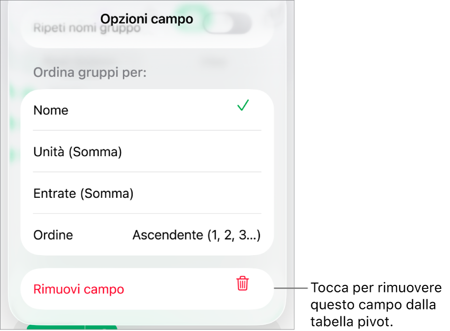 Il menu “Opzioni campo” che mostra i controlli per raggruppare e ordinare i dati, nonché le opzioni per rimuovere un campo.
