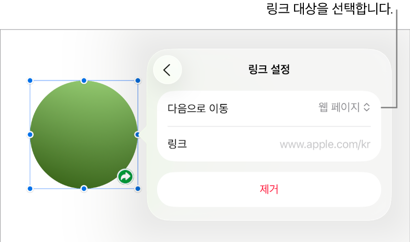 웹 페이지가 선택되어 있고, 하단에 제거 버튼이 있는 링크 설정 제어기.