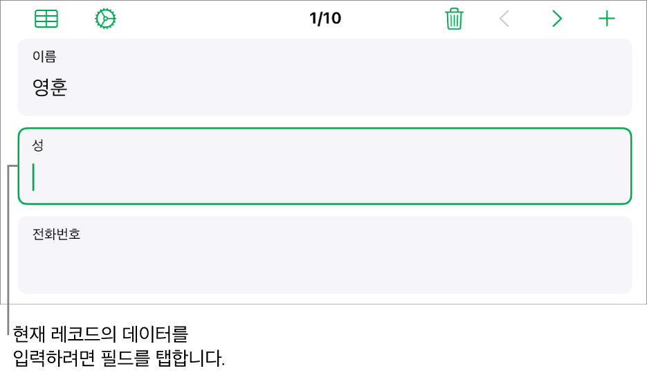 삽입점과 함께 활성화된 필드가 표시된 서식의 레코드.
