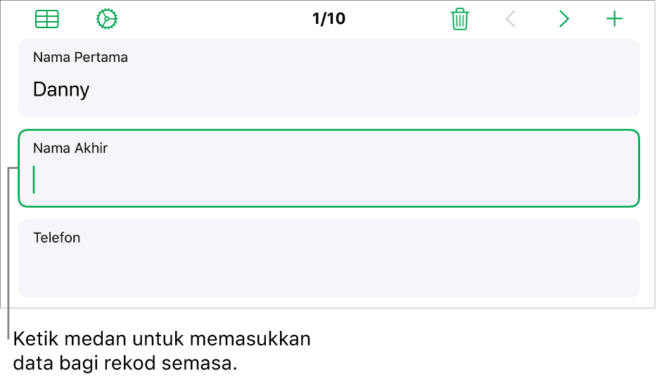 Rekod dalam borang menunjukkan medan aktif dengan titik sisipan.