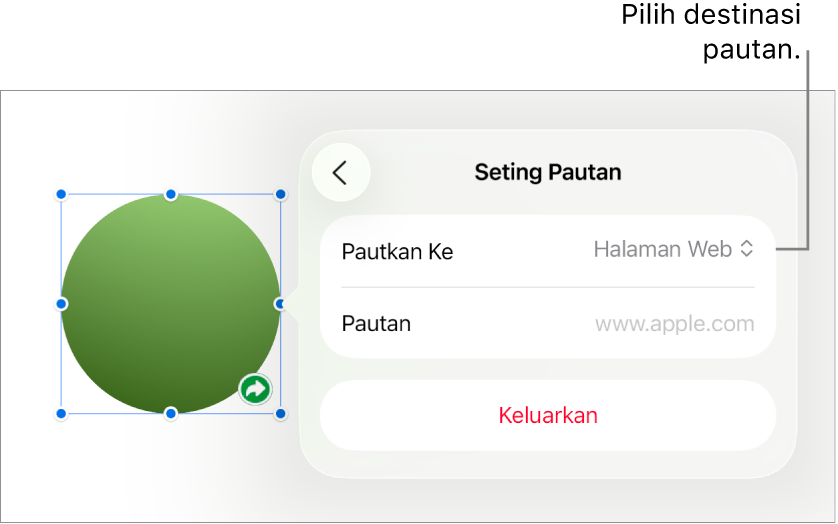 Kawalan Seting Pautan dengan Halaman Web dipilih dan butang Keluarkan di bahagian bawah.