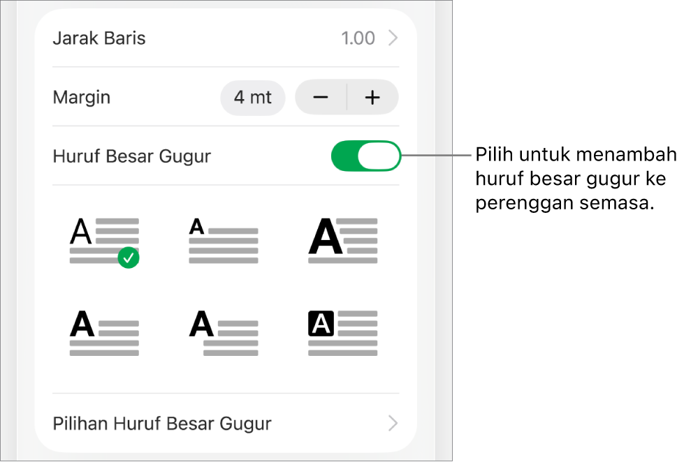 Kawalan Huruf Besar Gugur berada dalam menu Teks.