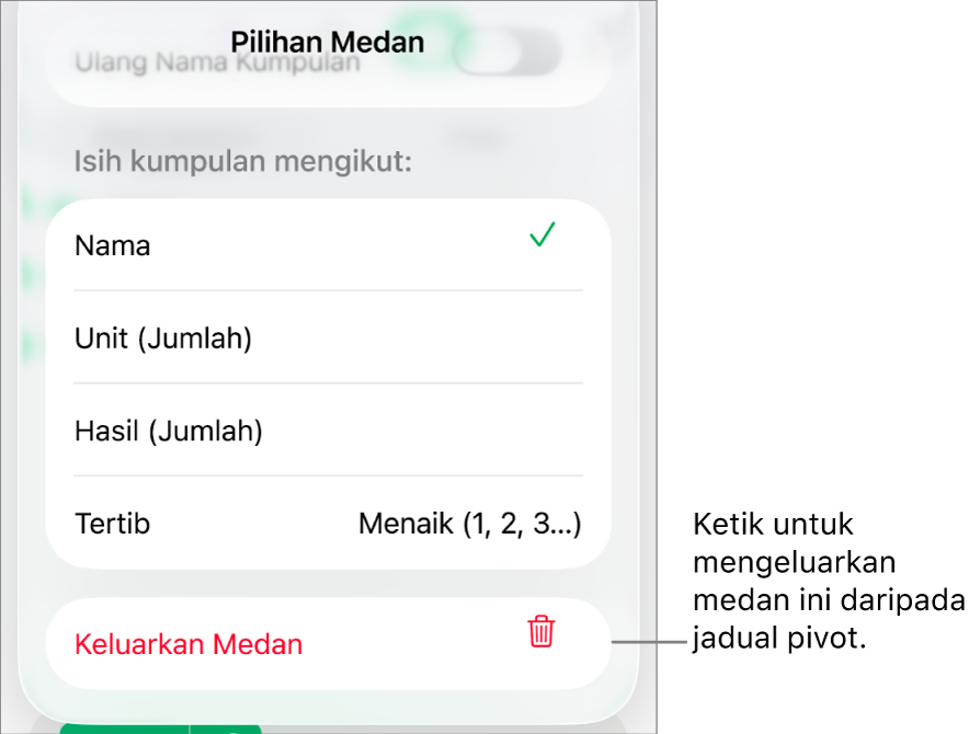 Menu Pilihan Medan, menunjukkan kawalan untuk mengumpulkan dan mengisih data, juga pilihan untuk mengeluarkan medan.