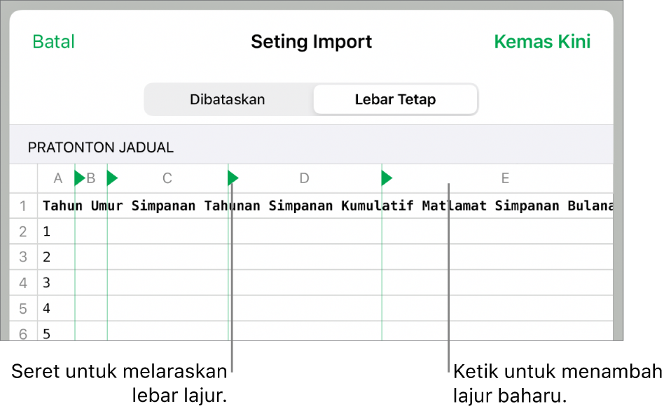 Seting import untuk fail teks lebar tetap.