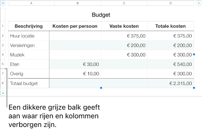 Een dikkere grijze balk die aangeeft waar rijen en kolommen verborgen zijn