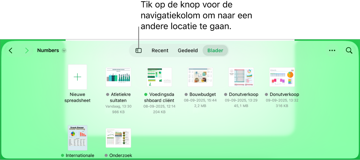 De bladerweergave van de documentweergave met linksboven een link naar andere locaties en daaronder een zoekveld. Rechtsboven staan knoppen voor een nieuwe spreadsheet en een nieuwe map, een pop‑upmenu voor de lijst- of symboolweergave en om te filteren op naam, datum, grootte, soort of tag, en de knop 'Selecteer'. Daaronder staan miniaturen van bestaande spreadsheets.