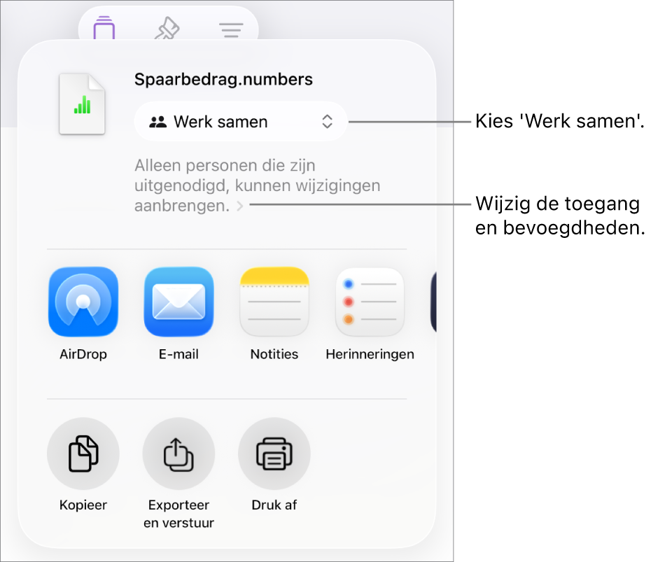 Het Deel-menu waarin bovenin 'Werk samen' is geselecteerd. Eronder staan toegangsinstellingen en bevoegdheden.