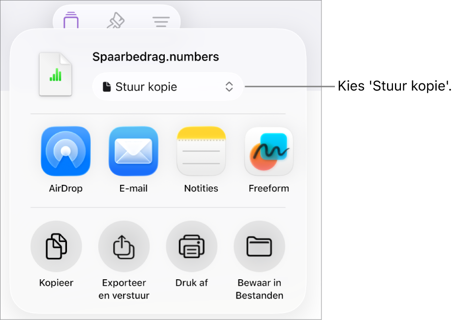 Het Deel-menu waarin bovenin 'Stuur kopie' is geselecteerd.