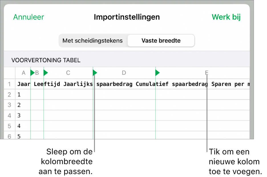De importinstellingen voor een tekstbestand met vaste breedte.