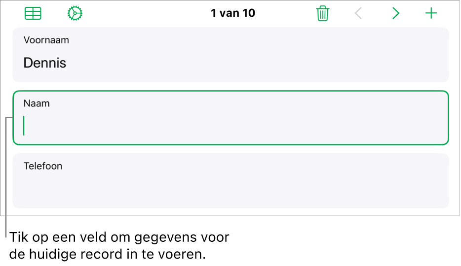 Een record in een formulier met het invoegpunt in een geselecteerd veld.