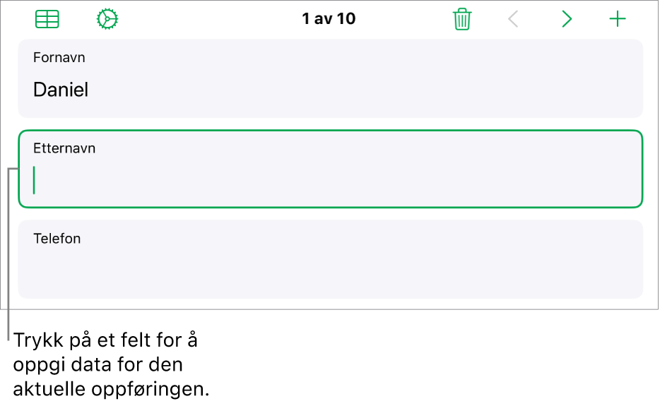 En oppføring i et skjema som viser et aktivt felt med et innsettingspunkt.