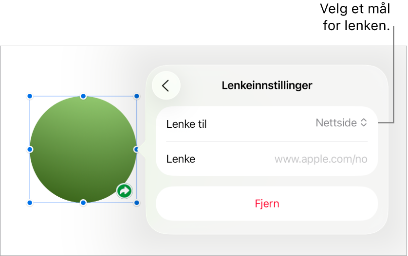 Lenkeinnstillinger-kontrollene med Nettside markert og Fjern-knappen nederst.