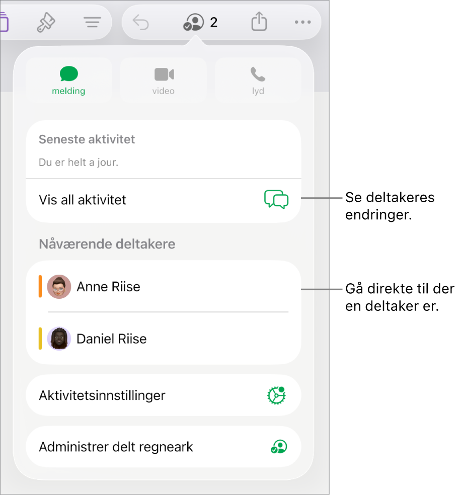 Samarbeidsmenyen, som viser gjeldende deltakere.
