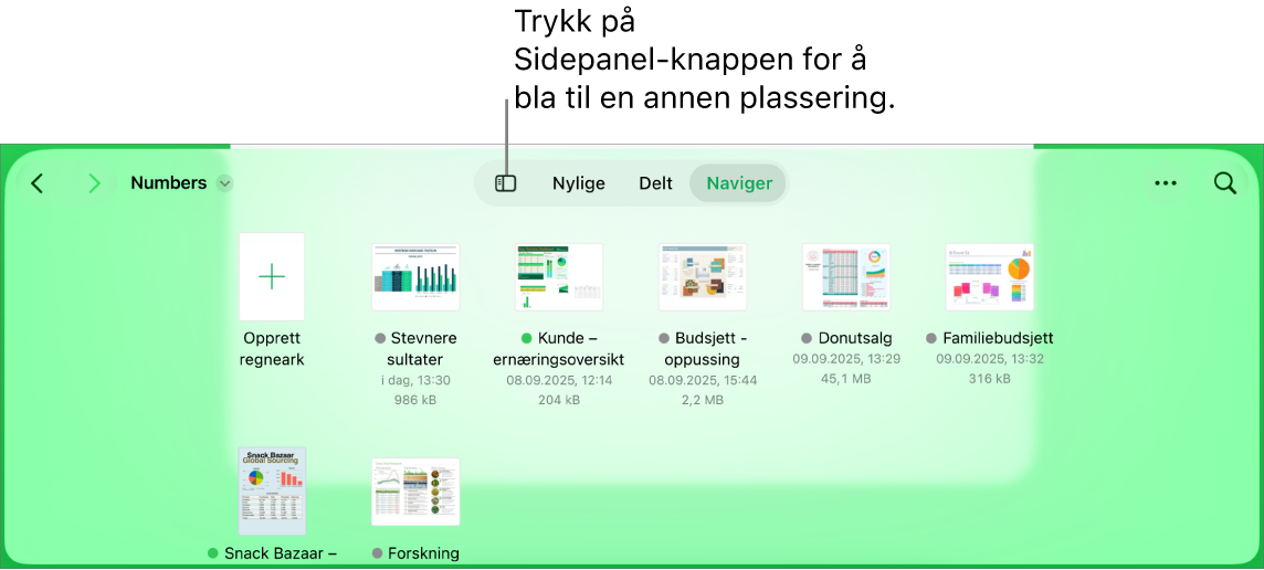 Navigeringsvisningen i dokumenthåndtereren, med Sidepanel-knappen øverst til venstre. Øverst til høyre vises Legg til-knappen, Ny mappe-knappen, Symboler-knappene (som brukes til å filtrere etter navn, dato, størrelse og etikett), Marker-knappen og Søk-knappen.