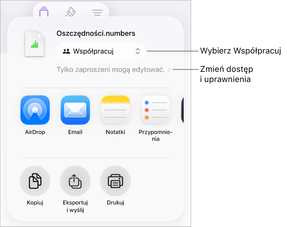 Menu udostępniania z opcją Współpracuj wybraną u góry oraz ustawieniami dostępu i uprawnień poniżej.